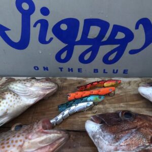 Jigggy Adjustable Weight Jig Max 100G