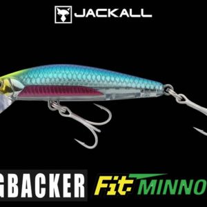 BIG BACKER FIT MINNOW