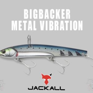 BIGBACKER METAL VIBRATION